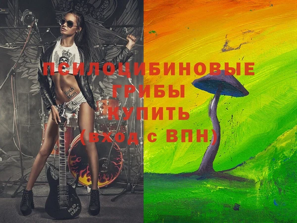 PSILOCYBIN Лиски