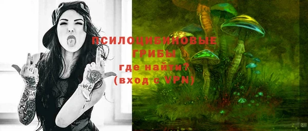PSILOCYBIN Лиски