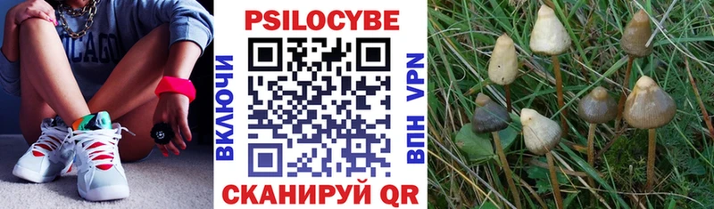 Псилоцибиновые грибы ЛСД  Купить где  Карасук 